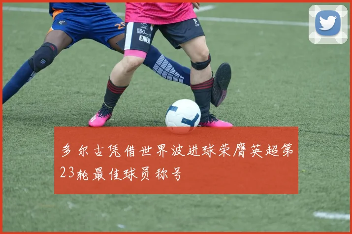 多尔古凭借世界波进球荣膺英超第23轮最佳球员称号