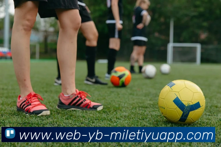 米乐体育平台生态图