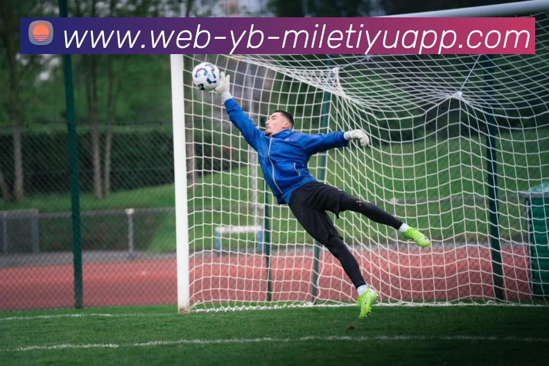 米乐体育全站App